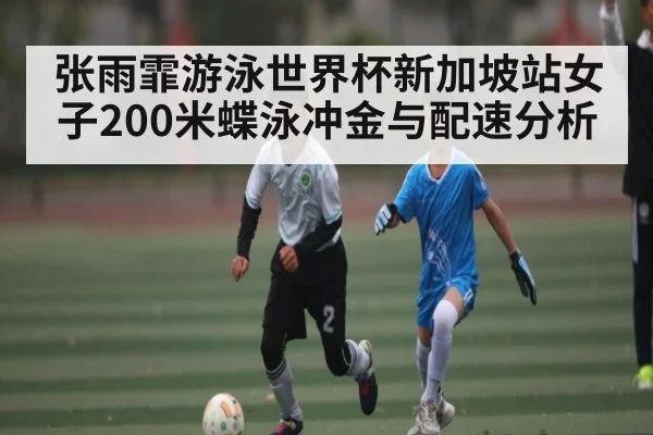 张雨霏游泳世界杯新加坡站女子200米蝶泳冲金与配速分析