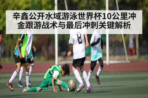 辛鑫公开水域游泳世界杯10公里冲金跟游战术与最后冲刺关键解析