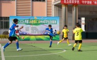 冠军出炉！永春县小学生足球联赛圆满落幕